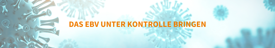 banner ebv