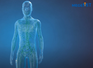 3D Video Immunsystem in Balance