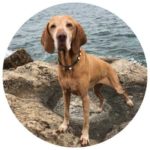 Patientenerfahrung (1)